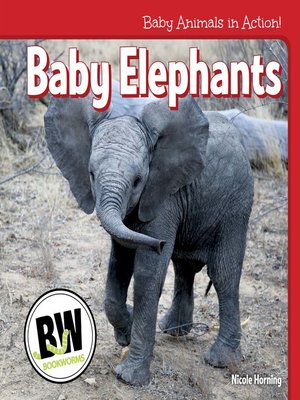 cover image of Baby Elephants